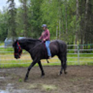 Meet your Posher, Breanna